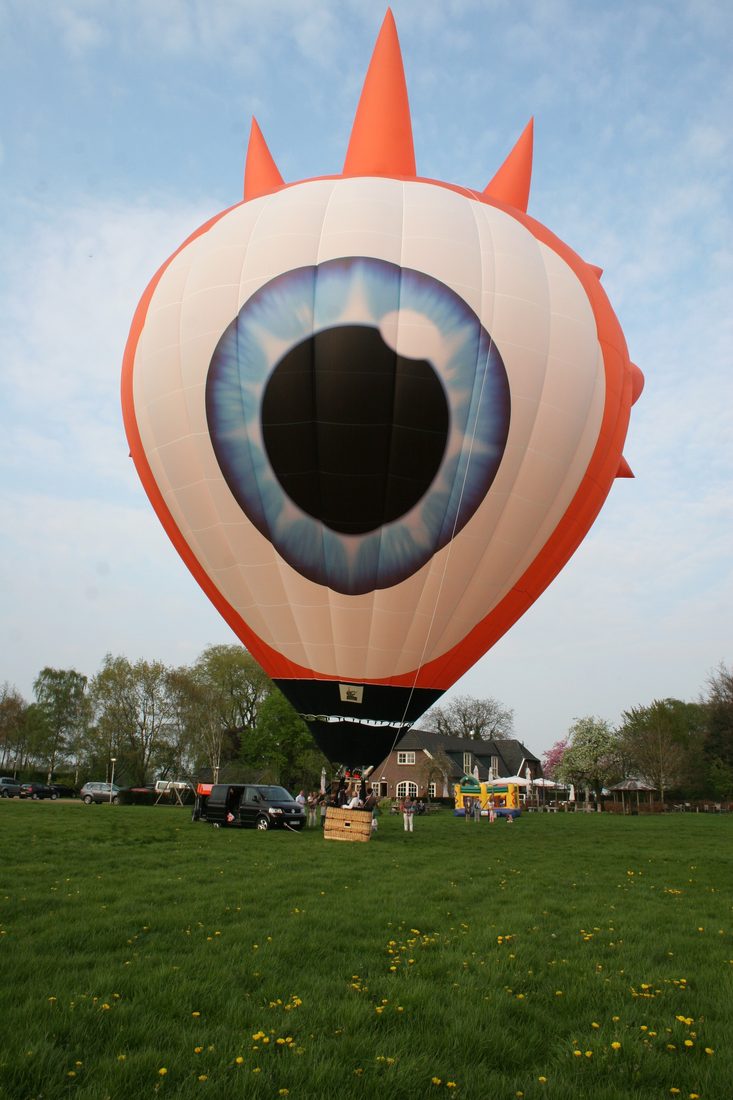 Custom special-shape hot air balloon