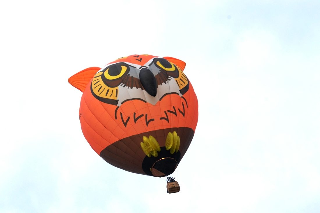 Owl-shaped special hot air balloon