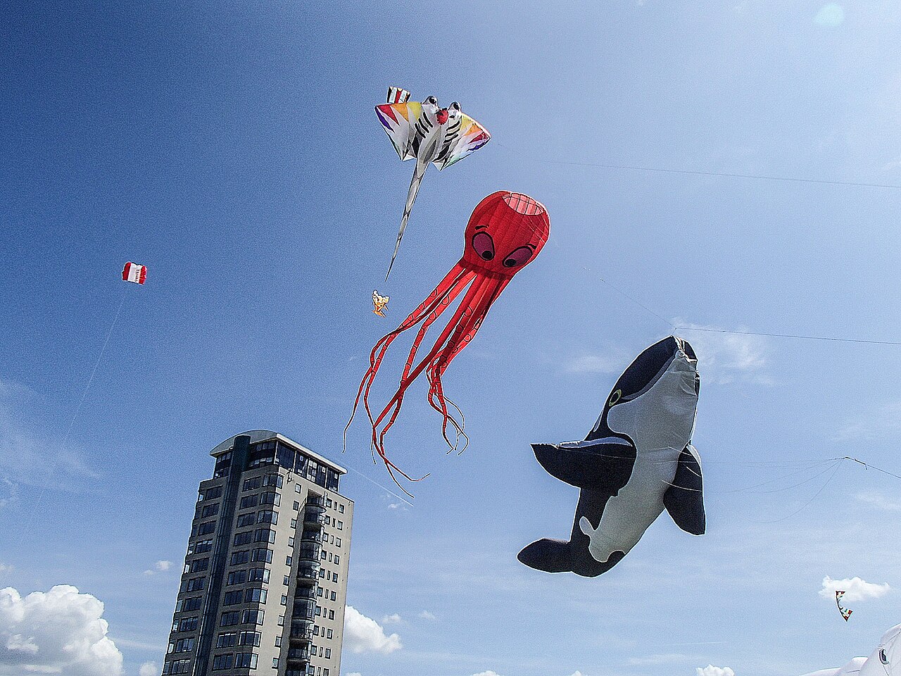Giant show kites shaped like an octopus and orca flying above a city